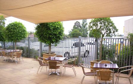 Coach  Horses Ringwood