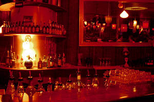 The Night Cat Fitzroy