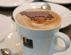 Brown Cow Hampton