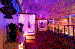 Circus Bar  Night Club South Yarra