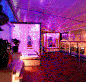 Circus Bar  Night Club - Great Ocean Road Restaurant