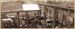 Macquarie Arms Hotel - Great Ocean Road Restaurant 1