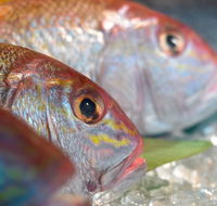 Coro Hotel - Lure Seafood Restaurant - Great Ocean Road Restaurant