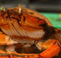 River Cottage Restaurant - Great Ocean Road Restaurant