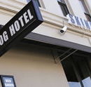 Skinny Dog Hotel - Great Ocean Road Restaurant