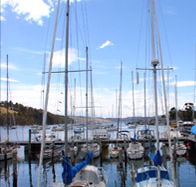 Oyster Cove Inn - Great Ocean Road Restaurant