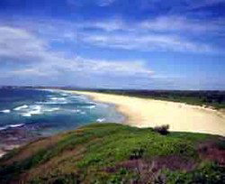 Iluka Tavern - Great Ocean Road Restaurant 1