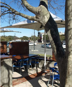 Lakers Tavern - Great Ocean Road Restaurant 3