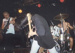 The Tote - Great Ocean Road Restaurant 3