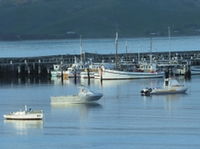 Book Apollo Bay Accommodation Vacations Great Ocean Road Restaurant Great Ocean Road Restaurant
