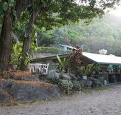 Ellis Beach Bar  Grill - Great Ocean Road Restaurant