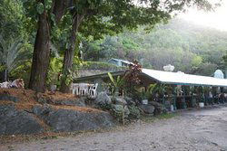 Ellis Beach Bar & Grill - Great Ocean Road Restaurant 0