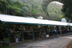 Ellis Beach Bar & Grill - Great Ocean Road Restaurant 1