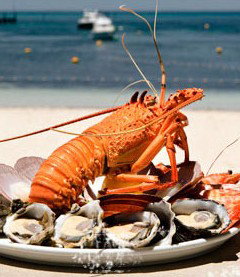 Quokka Arms - Great Ocean Road Restaurant 1