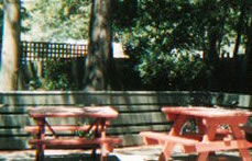 The Hawthorn Hotel - Great Ocean Road Restaurant 2