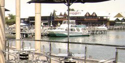 The Stage Door Bar & Brasserie - Great Ocean Road Restaurant 3