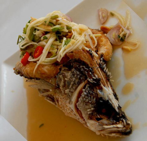 Bermagui Country Club - Great Ocean Road Restaurant 7