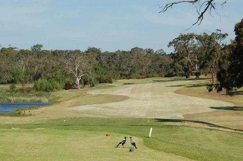 Devilbend Golf Club - Great Ocean Road Restaurant 1