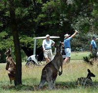 Glen Innes Golf Club - Great Ocean Road Restaurant