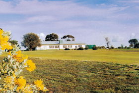 Lucindale Country Club - Great Ocean Road Restaurant 0