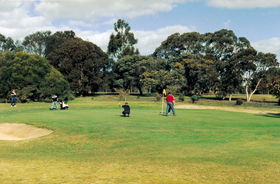 Lucindale Country Club - Great Ocean Road Restaurant 1