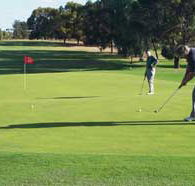 Waikerie Golf Club - Great Ocean Road Restaurant