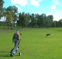 Coffin Bay Golf Club - Great Ocean Road Restaurant