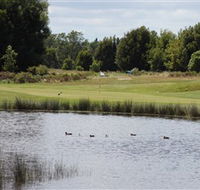 Llanherne Golf Club - Great Ocean Road Restaurant