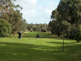 Mount Gambier Golf Club - Great Ocean Road Restaurant 0