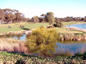 Maitland Golf Club Incorporated - Great Ocean Road Restaurant 1