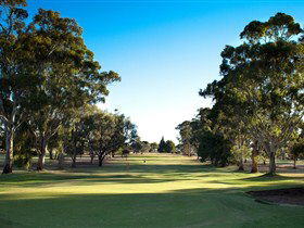 Loxton Golf Club - Great Ocean Road Restaurant 0