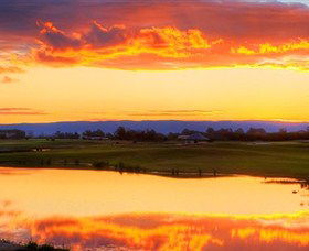 Lynwood Country Club - Great Ocean Road Restaurant 3