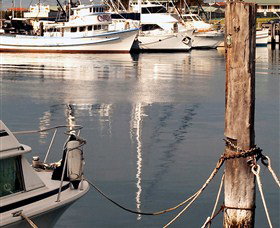 Bermagui Country Club - Great Ocean Road Restaurant 4