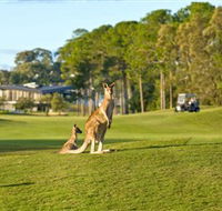 Sanctuary Cove Golf and Country Club - Great Ocean Road Restaurant