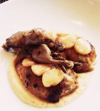 Book Terrey Hills Accommodation Vacations Great Ocean Road Restaurant Great Ocean Road Restaurant