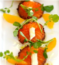 The Terrace On Pittwater - Great Ocean Road Restaurant 0