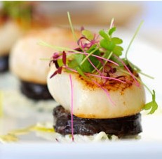 The Terrace On Pittwater - Great Ocean Road Restaurant 1