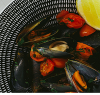 The Italian Diner - Great Ocean Road Restaurant