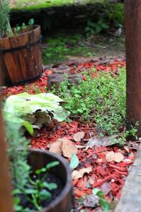 Herveys Range Heritage Tea Rooms - Great Ocean Road Restaurant 1