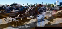 19th Annual Old Wheels In Motion Rally