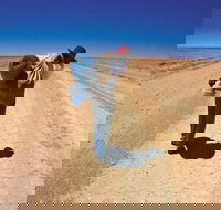 A Portrait of Australia Stories through the lens of Australian Geographic - Great Ocean Road Restaurant