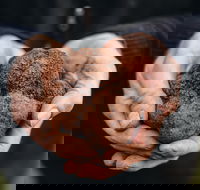 A Taste of Truffles - Great Ocean Road Restaurant