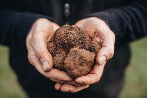 A Taste Of Truffles - Great Ocean Road Restaurant 0