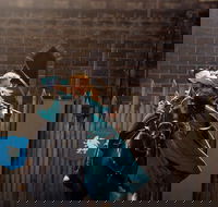 Baroque Horse Festival - Great Ocean Road Restaurant