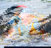 Cave Hill Creek Summer Camp - Great Ocean Road Restaurant