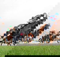 Christmas Cup Race Day - Great Ocean Road Restaurant