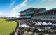 City Tattersalls Club Cup Day - thumb 1