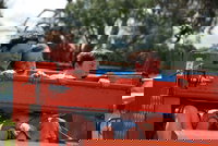 Culcairn Agricultural Show