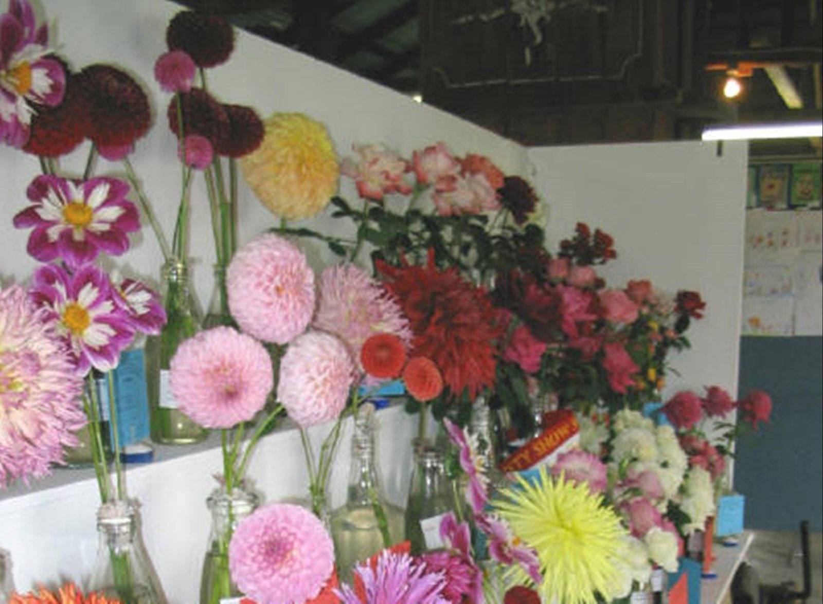 Beloka NSW Great Ocean Road Restaurant