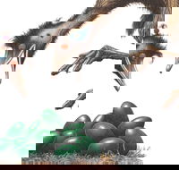 Edward the Emu - Great Ocean Road Restaurant